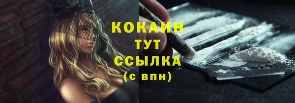 сатива Балахна