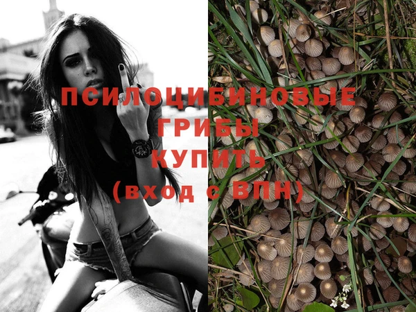 стафф Балабаново