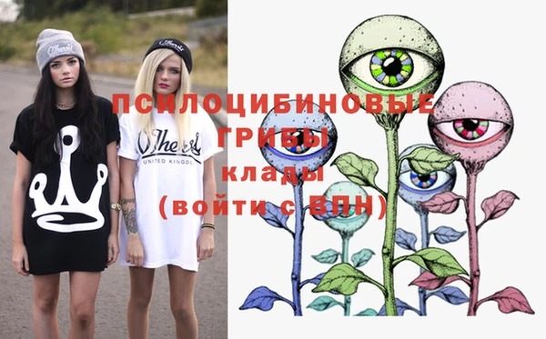 сатива Балахна