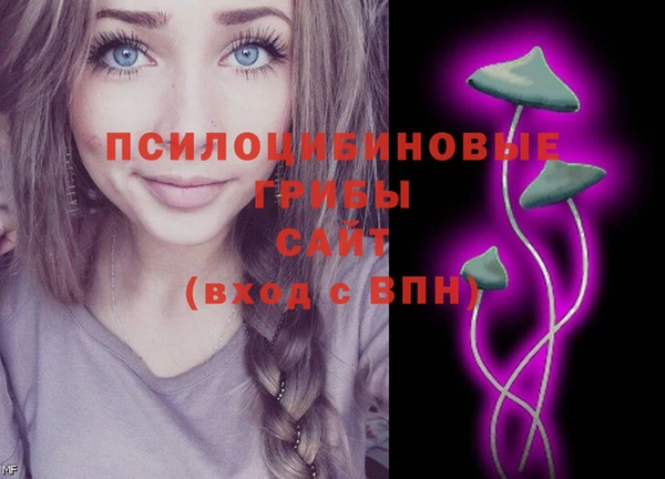 сатива Балахна