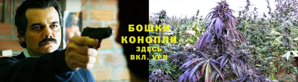 стафф Балабаново