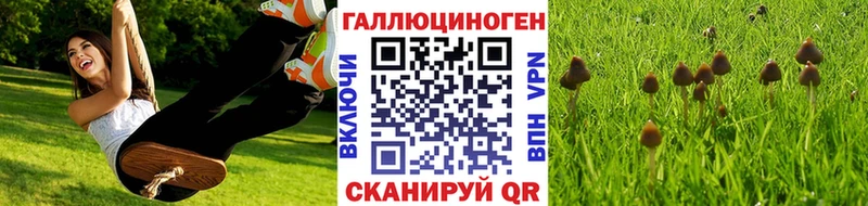 Галлюциногенные грибы прущие грибы  Чегем 