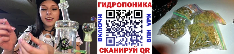 МАРИХУАНА AK-47  даркнет как зайти  Чегем 